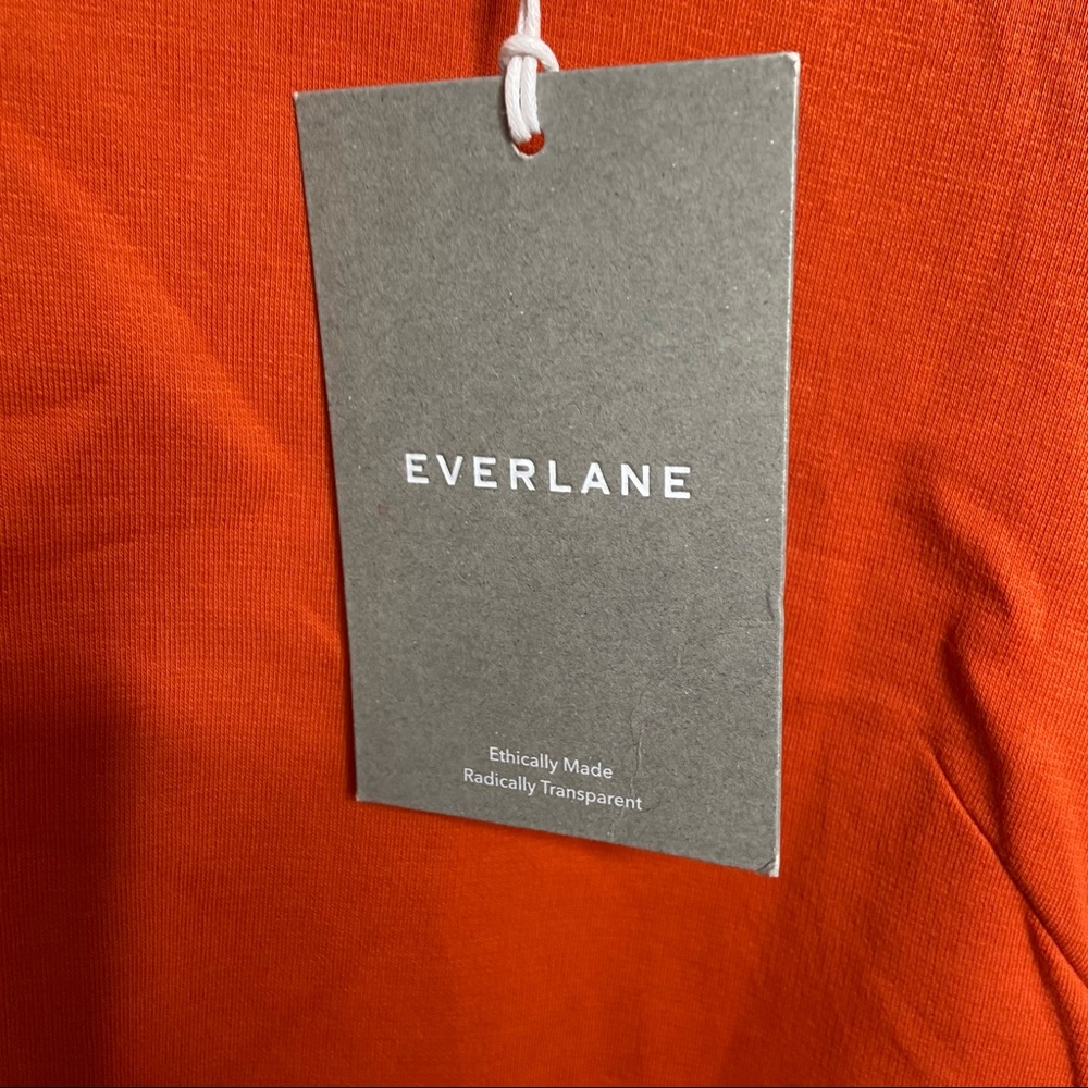 NWT Everlane Party of One Orange Dress - Picture 5 of 7